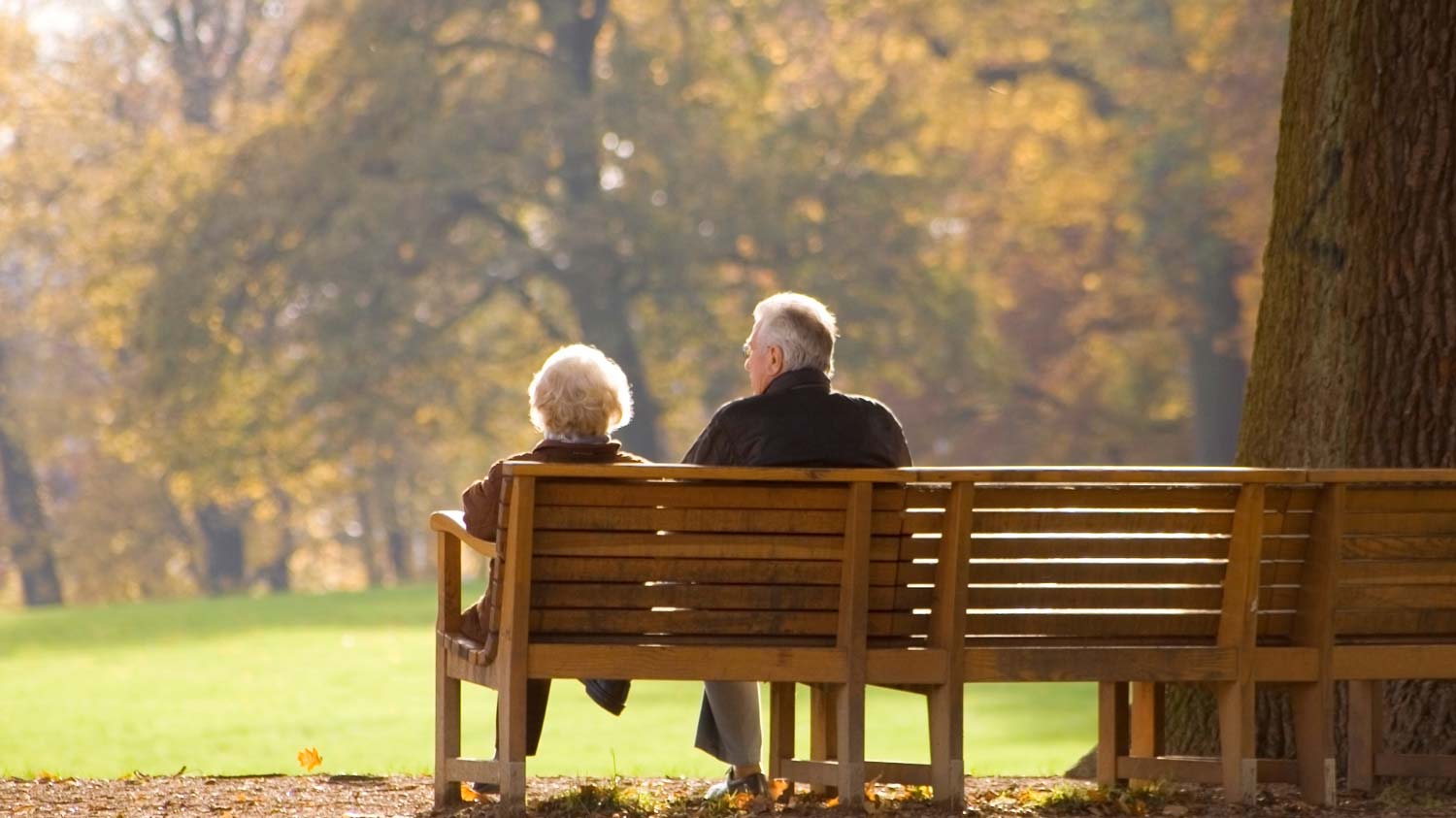 couple sitting in park