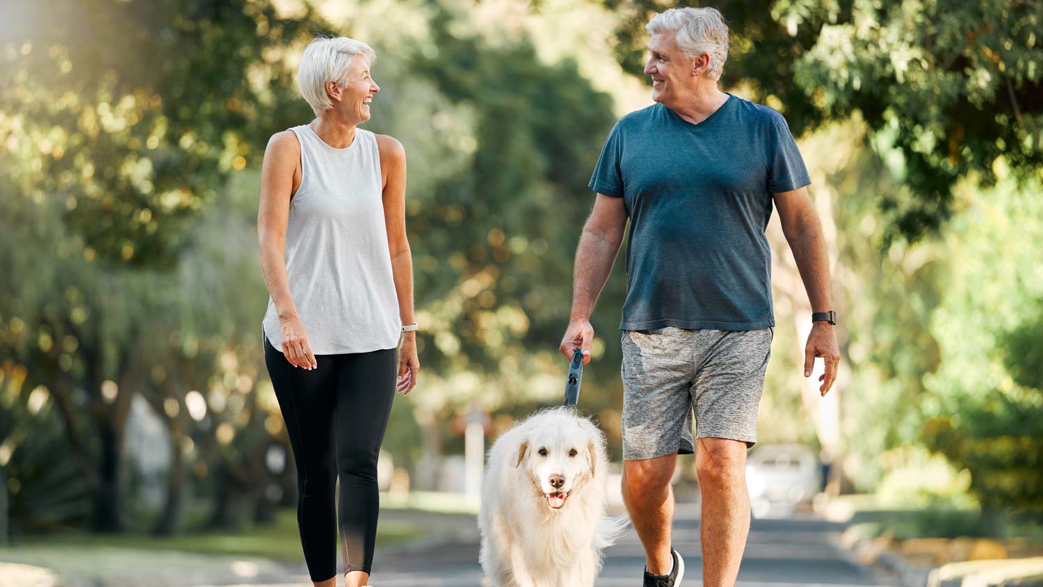 couple walking their dog