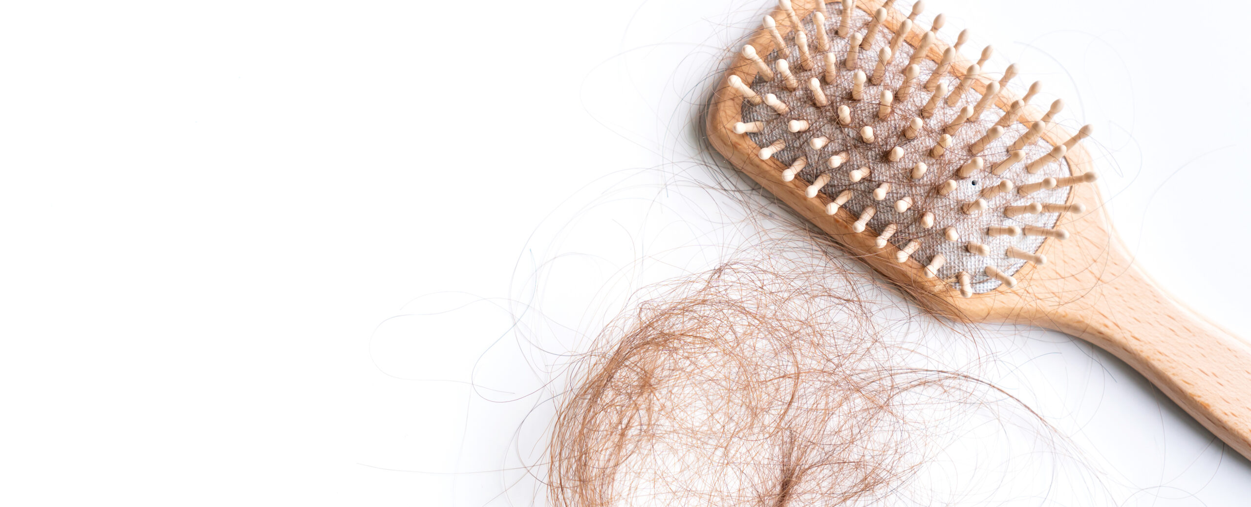 Top view of a brush with lost hair on it, hair fall everyday serious problem. Isolated on white background.