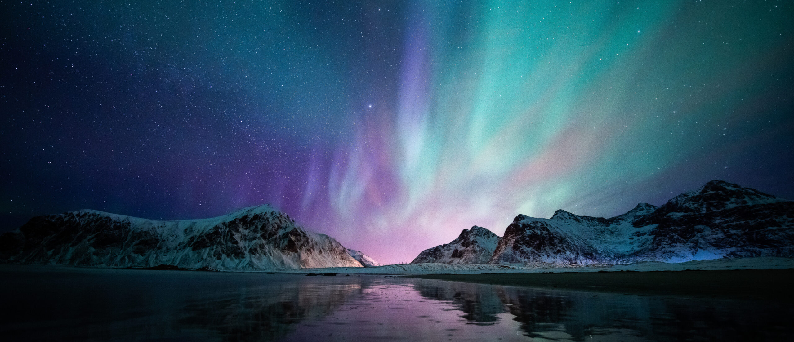 Aurora borealis on the Beach in Lofoten islands, Norway. Green northern lights above mountains. Night sky with polar lights. Night winter landscape.
