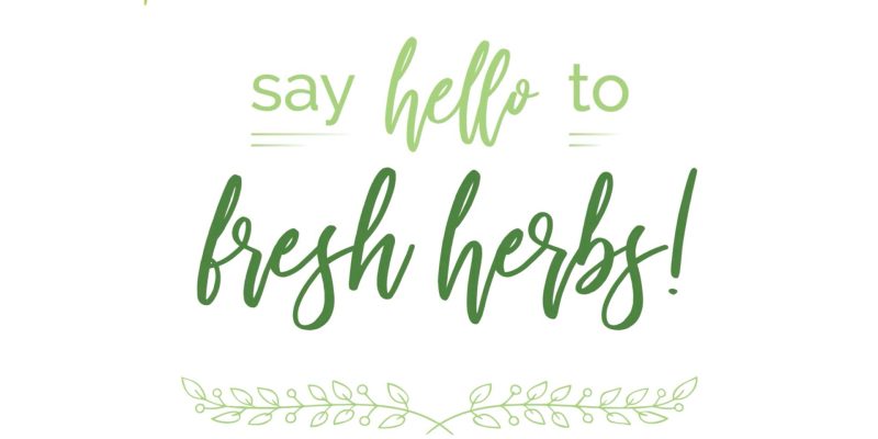 FreshHerbs